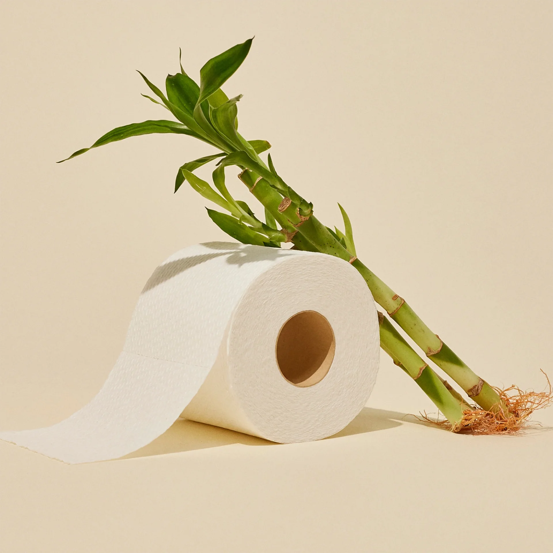 Reel Bamboo Toilet Paper