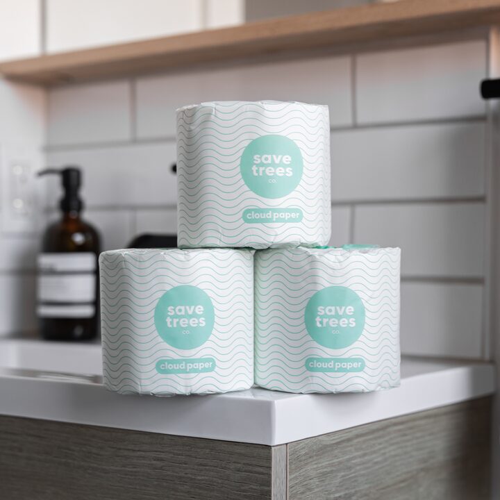 Cloud Paper's high-quality Bamboo Toilet Paper Rolls shown in a stack of three rolls on a bathroom sink 