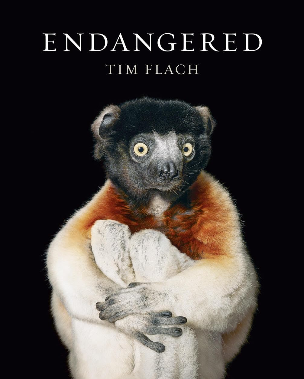 "Endangered" by Tim Flach features a striking image of Sifakas, emphasizing the critical need for conservation efforts.
