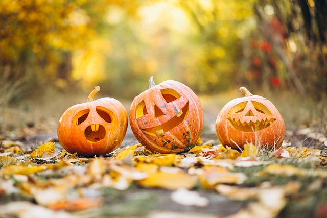 Three of jack o’ lanterns on a pile of colorful fall leaves.
