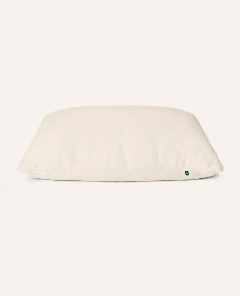 Organic Pillow