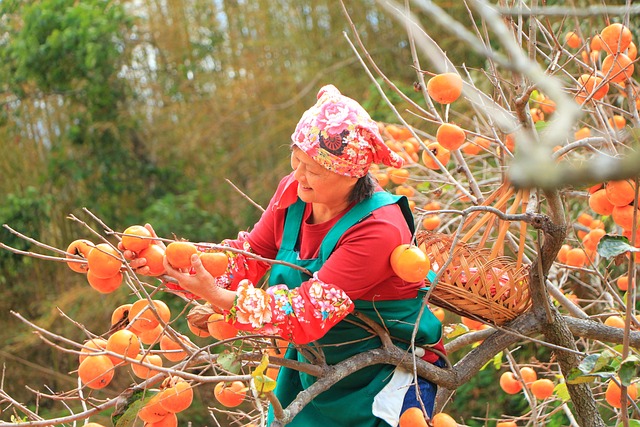 A farmer picks fruit from a stem and smiles